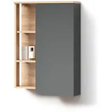 livinity® Badschrank, Anthrazit, Sonoma Eiche, 6 Fächer, Rechteckig, 50x75x20 cm, Badezimmer, Badezimmerschränke, Hängeschränke