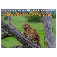 Calvendo Abenteuer Botswana Afrika - Adventure Botswana (Wandkalender 2026