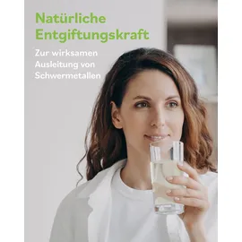 ZeolithMED Zeolith MED Detox Pulver ultrafein 120 g