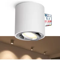 Linovum CORI Aufbauspot dimmbar weiß silber mit LED GU10