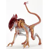 NECA - Aliens Kenner Tribute) 23 cm