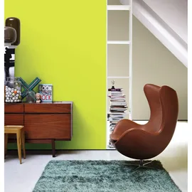 Schöner Wohnen Trendfarbe 1 l fresh matt