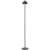 Schöner Wohnen Bellis 13D13NT00C020A schwarz