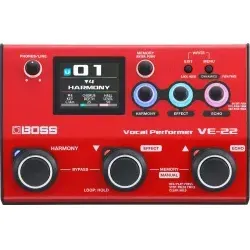 VE-22 Vocal Performer