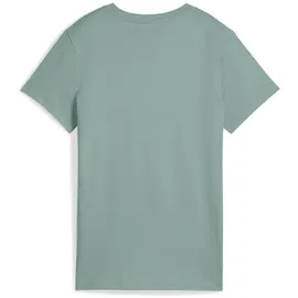 Puma Unisex ESS No. 1 Logo Tee (s) T-Shirts, Green Moon,