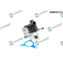 DR.MOTOR AUTOMOTIVE AGR-Ventil DRM181113