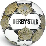 derbystar Brillant TT v23 Gr.5