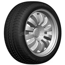 DOUBLE COIN DC100 205/50 R17 93W XL