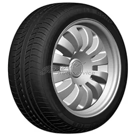 DOUBLE COIN DC100 205/50 R17 93W XL
