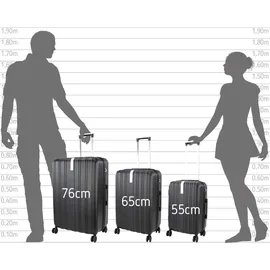 Samsonite S'Cure 4-Rollen 69 cm / 79 l silver