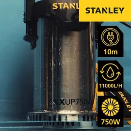 Stanley Tauchpumpe SXUP750XCE