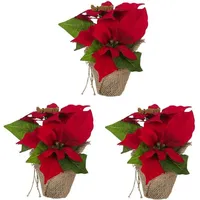 Bambelaa! Weihnachtsstern rot 3 Stück