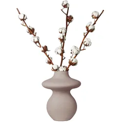 Plant in a Box - Trockenblumen - Cotton Branch - Baumwolle - Set mit 3 Zweigen - Höhe 40-60 cm