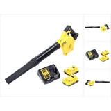 DeWalt DCV 100 D2 inkl. 2 x 2,0 Ah + Ladegerät