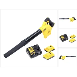 DeWalt DCV 100 D2 inkl. 2 x 2,0 Ah + Ladegerät