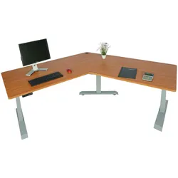 Mendler Schreibtisch HWC-D40, Computertisch, 120° elektrisch höhenverstellbar ~ natur, grau