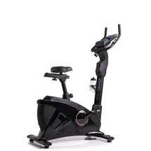 Zipro Rook Gold