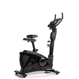Zipro Rook Gold