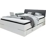 Pol-Power Pol Power LENA,