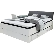 Pol-Power Pol Power LENA,