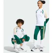 adidas Tiro Training Junior Jogginghose Collegiate Green 164