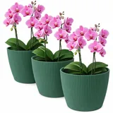 TULMERO Blumentopf matt, Pflanzkübel aus Übertopf Kunststoff Dekorativer Topf für, groß Pflanzen 3X blumenkübel Set, blumenkübel kräutertopf, (3 Pack) Avocado, ø 19 cm
