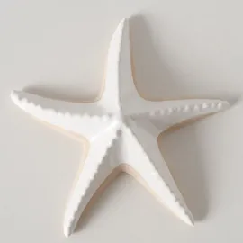 Boltze Seestern Shelby 17 x 16 x 3 cm)