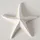 Boltze Seestern Shelby 17 x 16 x 3 cm)