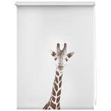 Lichtblick Rollo Klemmfix, ohne Bohren, blickdicht, Giraffe - braun