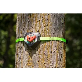 Donic Schildkröt *SLACKERS TREE CLIMBERS, Klettergriffe, 5-teiliges Set