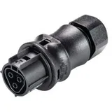 Wieland Electric 96.031.0053.1 Rundstecker Buchse, gerade Gesamtpolzahl: 3 1St.