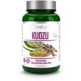 ACTIVLAB Kudzu Root, 60 Kapseln