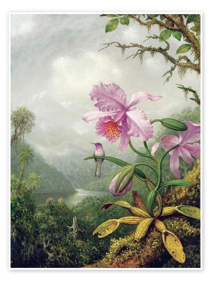 Posterlounge Poster Martin Johnson Heade, Kolibri thront auf einer Orchidee, Malerei grün 100 cm x 130 cm