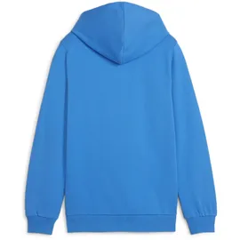 Puma teamGOAL Casuals Hoodie Jungen 02 ignite blue/white 140