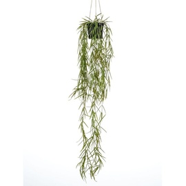 Emerald Kunstpflanze Hoya Hängend im Topf 80 cm