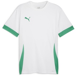 Puma Teamgoal Matchday Jersey puma white-sport green-sport green (15) 3XL