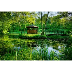 Fototapete PAPERMOON "GARTEN-BLUMEN BÄUME PFLANZEN PARK STEINE BLÜTEN WALD", bunt, B:4,00m L:2,60m, Vlies, Tapeten