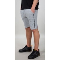 Alpha Industries AI Sweat Shorts, grau, Größe M für Männer