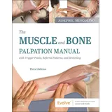 Elsevier Ltd The Muscle and Bone