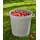 orthex Universal-Tonne 80 l hellgrau