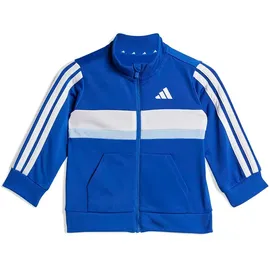 adidas Tiberio 3 Stripes Tricot Trainingsanzug Team Royal Blue/Glow Blue/White 68