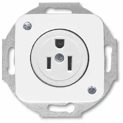Busch-Jaeger Nema Steckdose, 1f, alpinweiß, glänzend, Unterputz, horizontal, NEMA, IP20, Zentralplatte