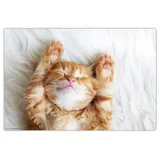cover-your-desk.de Schreibtischunterlage – Süßes Katzenbaby beim Schlafen“ (L)60 x (B)40 | Gr.: onesize