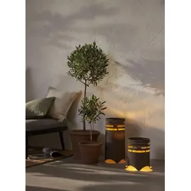 Star Trading Marron (IP44)