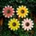 EDM Blume Solar Ø14x4cm mehrfarbig