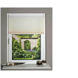 HOME WOHNIDEEN Plissee UP&DOWN 50 x 130 cm beige