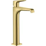 Hansgrohe Citterio E Einhandmischer Brushed Brass