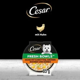Cesar Huhn in Sauce 20 x 85 g