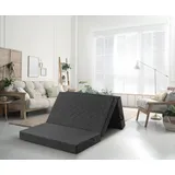 Traumnacht Gästematratze de Luxe für zwei Personen mit hochwertiger Viscoauflage und moderner Husse, 120 x 195 x 14 cm, hellgrau, produziert nach deutschem Qualitätsstandard