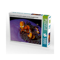 CALVENDO Puzzle CALVENDO Puzzle Anemonenfische im Korallenriff zu, 1000 Puzzleteile